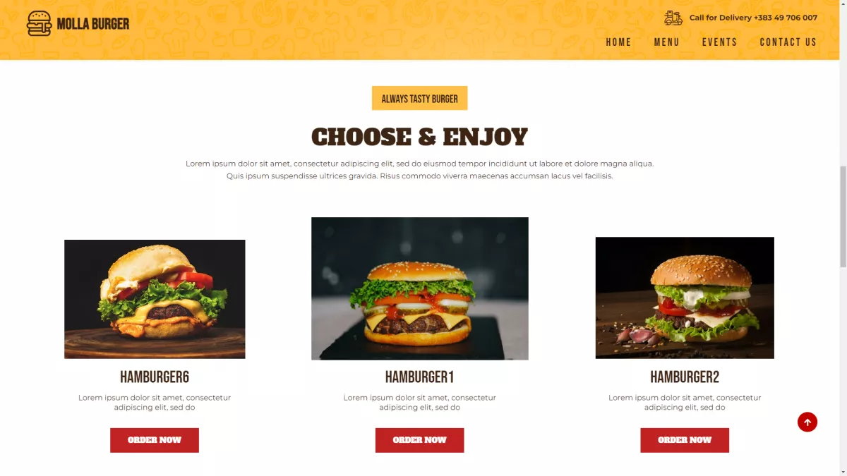 Fast Food - Burger House - [#Static Website] r4